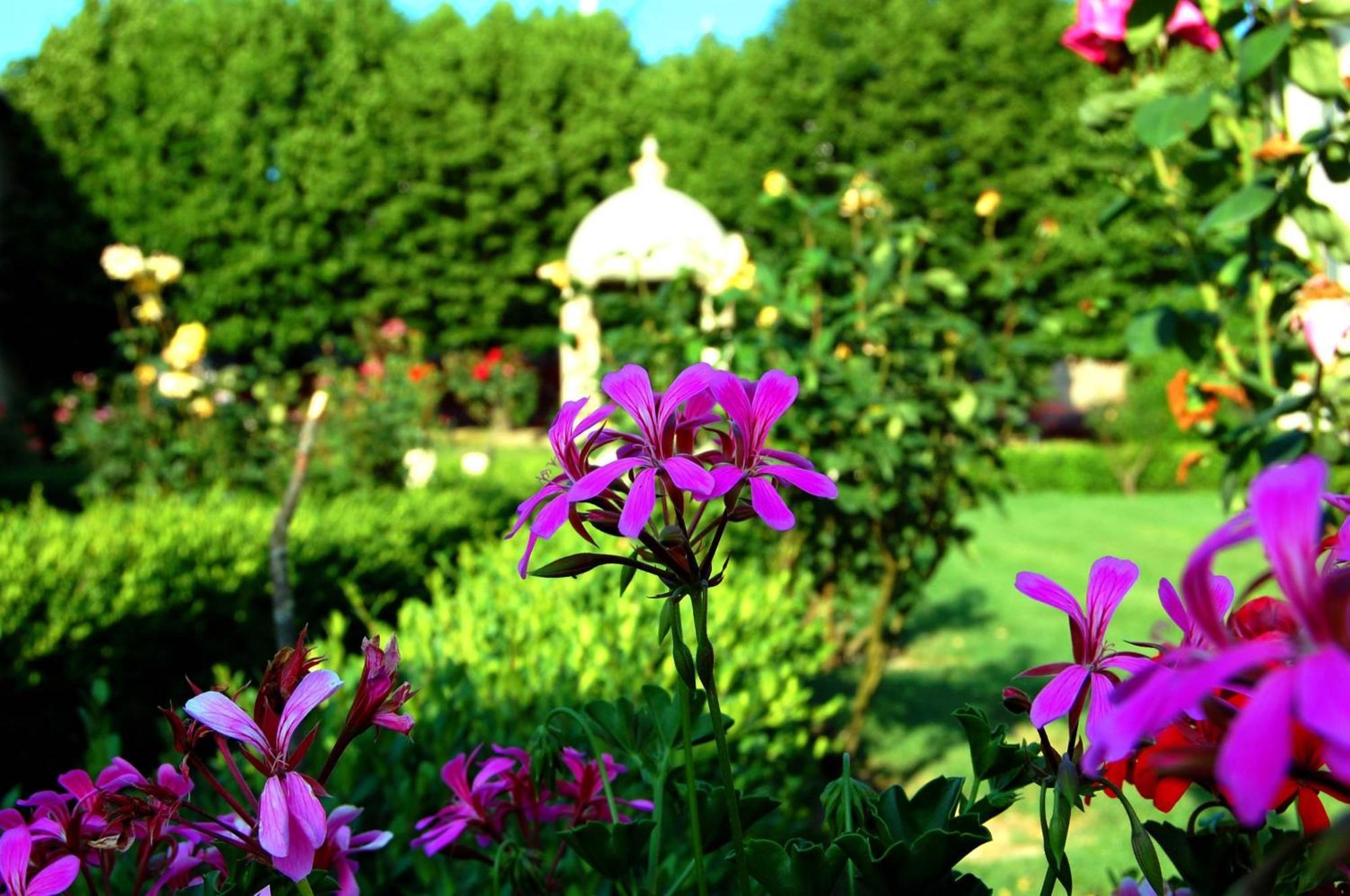 Hotel Villa San Donino Читта-ди-Кастелло Экстерьер фото